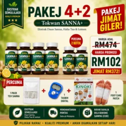 Pakej 4